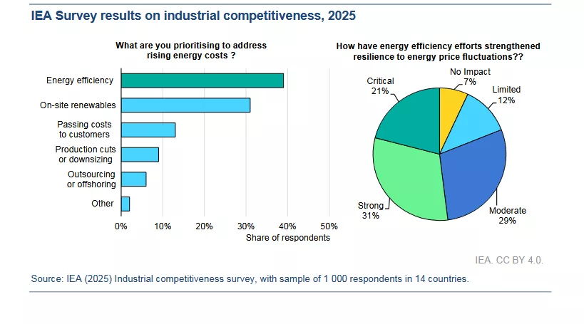 ENG-IEA-energy-efficiency-survey2025