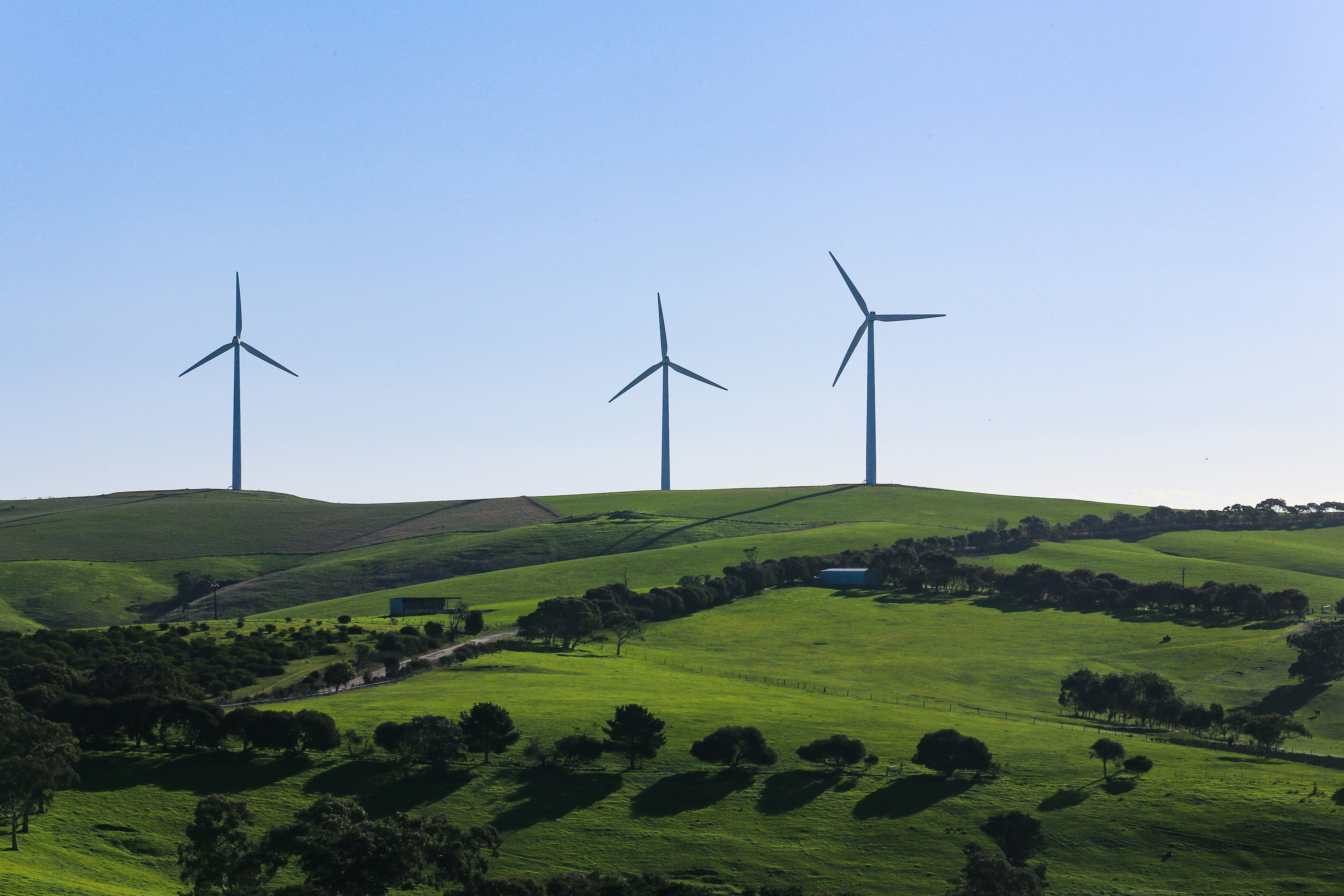 Starfish-Hill-Wind-Farm-South-Australia-alex-eckermann