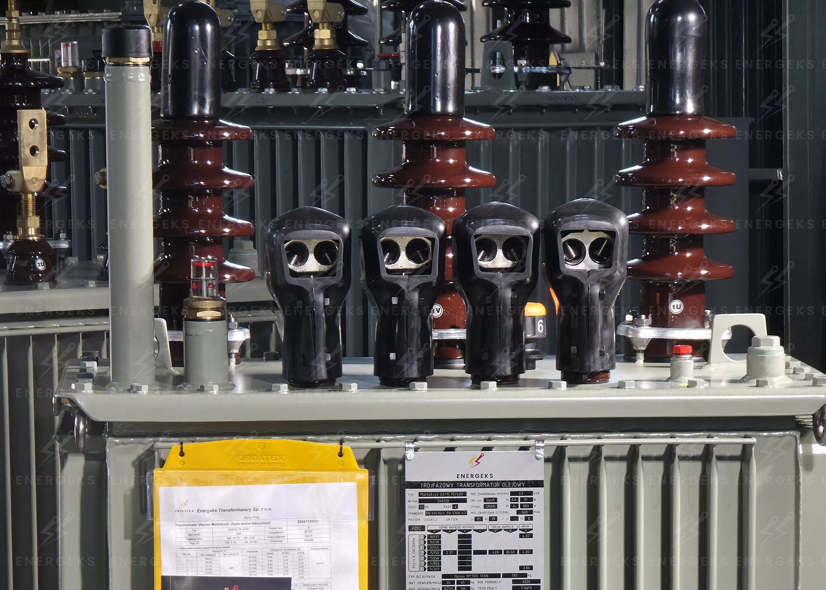 energeks-transformatory-olejowe-z-zaciskami-typu-TOGA-ołonki-przeciw-ptakom