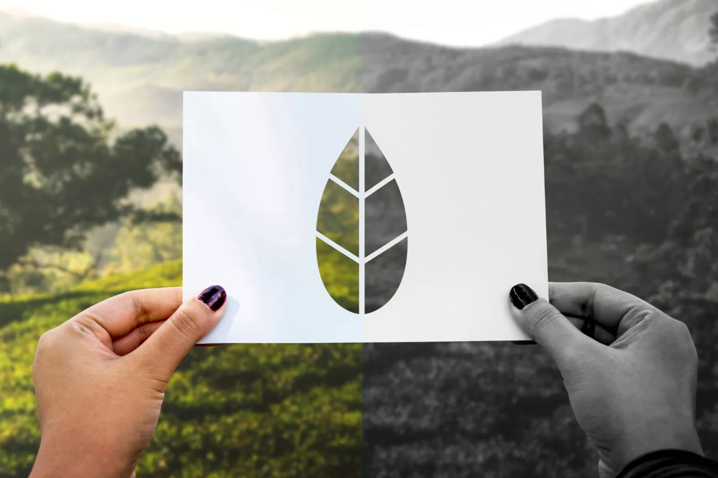 european-green-deal-fail-rawpixel-freepik2